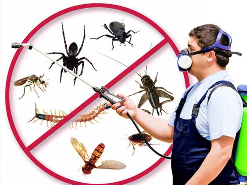 Pest Proof Your Home