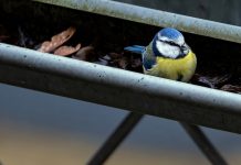 7 Ways to Spruce Up Your Home’s Exterior with Gutters Home’s Exterior with Gutters