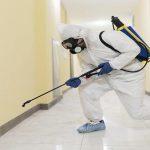 Pest Control