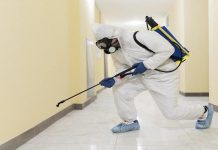 Top 5 Seasonal Pests in Toronto Homes – and How to Prevent Them Pest Control